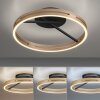 Lámparas Paul Neuhaus Loop Plafones LED dorado, Negro, 2 luces, Mando a distancia