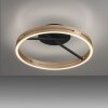 Lámparas Paul Neuhaus Loop Plafones LED dorado, Negro, 2 luces, Mando a distancia