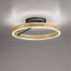 Lámparas Paul Neuhaus Loop Plafones LED dorado, Negro, 2 luces, Mando a distancia