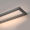 Lámparas Paul Neuhaus Puro Apliques LED Gris, 1 luz