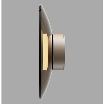 Lámparas Paul Neuhaus Moon Apliques LED Bronce, 1 luz