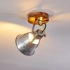 Berkeley Lámpara de Techo marrón oscuro, Galvanizado, 1 luz