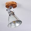 Berkeley Lámpara de Techo marrón oscuro, Galvanizado, 1 luz