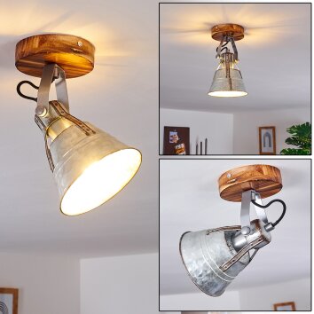 Berkeley Lámpara de Techo marrón oscuro, Galvanizado, 1 luz