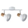 Lámparas Rabalux Holly Plafones Madera oscura, Blanca, 2 luces