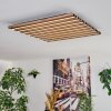 Tandragee Plafones, Panel LED Color madera, Negro, 1 luz