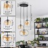 Apedo Lámparas suspendidas, Lámparas colgantes, Lámpara colgante de clúster Colores ámbar, Transparente, 3 luces