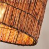 Cando Lámparas suspendidas, Lámparas colgantes Crudo, 1 luz