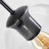 Koyoto Lámparas suspendidas, Luminarias esféricas, Lámpara colgante de clúster Transparente, 4 luces