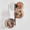 Ripoll Luminarias esféricas, Apliques Transparente, Color cobre, 3 luces