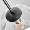 Ripoll Plafones, Luminarias esféricas Transparente, 7 luces