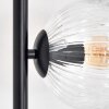Ripoll Lámpara de pie Transparente, 3 luces