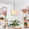 Bongal Lámparas suspendidas, Lámparas colgantes Marrón, Crudo, 1 luz
