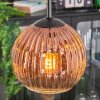 Ripoll Lámparas suspendidas, Luminarias esféricas, Lámpara colgante de clúster Transparente, Color cobre, 3 luces