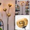 Ripoll Luminarias esféricas, Lámpara de pie dorado, Transparente, 3 luces
