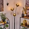 Ripoll Luminarias esféricas, Lámpara de pie dorado, Transparente, 3 luces
