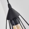 Cenova Lámparas suspendidas, Lámparas colgantes Negro, 4 luces