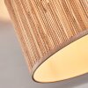 Bongal Plafones beige, Crudo, 1 luz