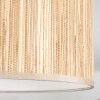Bongal Plafones beige, Crudo, 1 luz