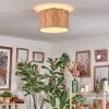 Bongal Plafones beige, Crudo, 1 luz
