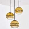 Koyoto Lámparas suspendidas, Luminarias esféricas, Lámpara colgante de clúster 30 cm dorado, Transparente, 3 luces