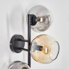 Koyoto Luminarias esféricas, Apliques Colores ámbar, Transparente, Ahumado, 3 luces