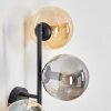 Gastor Luminarias esféricas, Apliques Colores ámbar, Ahumado, 3 luces