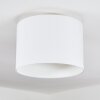 Bassagoda Plafones Blanca, 1 luz