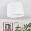 Bassagoda Plafones Blanca, 1 luz