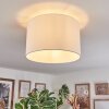 Bassagoda Plafones Blanca, 1 luz