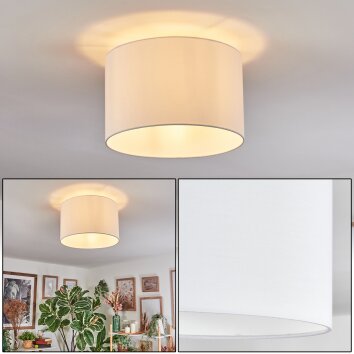 Bassagoda Plafones Blanca, 1 luz