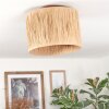 Granja Plafones Crudo, 1 luz