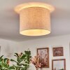 Bassagoda Plafones beige, Blanca, 1 luz