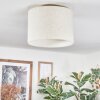 Bassagoda Plafones beige, Blanca, 1 luz