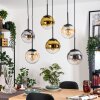 Gastor Lámparas suspendidas, Luminarias esféricas, Lámparas colgantes Colores ámbar, dorado, Transparente, Ahumado, 6 luces