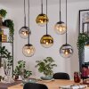 Gastor Lámparas suspendidas, Luminarias esféricas, Lámparas colgantes Colores ámbar, dorado, Transparente, Ahumado, 6 luces