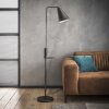 Terwispel Lámpara de Pie Antracita, 1 luz