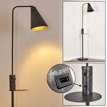 Terwispel Lámpara de Pie Antracita, Gris, Negro, 1 luz
