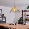 Shalo Lámpara Colgante Negro, 1 luz