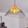 Shalo Lámpara Colgante Negro, 1 luz