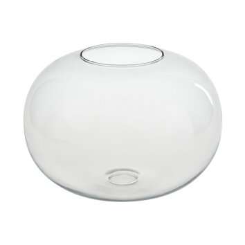 Pantalla de cristal  Apedo Vidrio de recambio Transparente