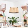 Ramila Lámparas suspendidas, Lámparas colgantes Crudo, Negro, 1 luz