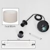 Flemming Lámparas suspendidas, Lámparas colgantes beige, Blanca, 1 luz