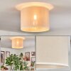 Bassagoda Plafones beige, Blanca, 1 luz