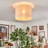 Bassagoda Plafones beige, Blanca, 1 luz
