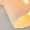 Bassagoda Plafones beige, Blanca, 1 luz