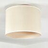 Bassagoda Plafones beige, Blanca, 1 luz