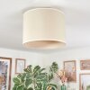Bassagoda Plafones beige, Blanca, 1 luz