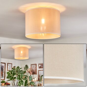 Bassagoda Plafones beige, Blanca, 1 luz