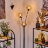 Ripoll Luminarias esféricas, Lámpara de pie Colores ámbar, 3 luces